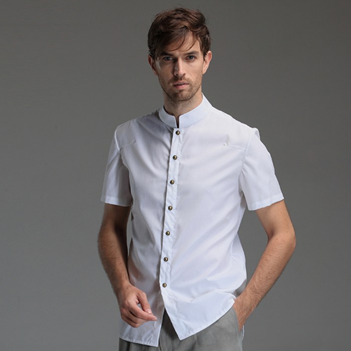 Mandarin collar dress shirt men