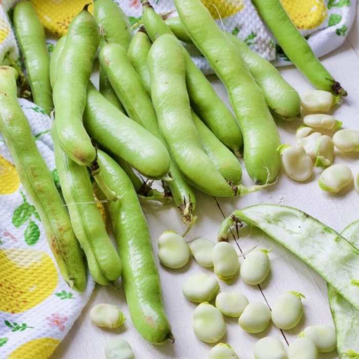 How to cook broad beans greek style