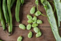 How to cook broad beans greek style