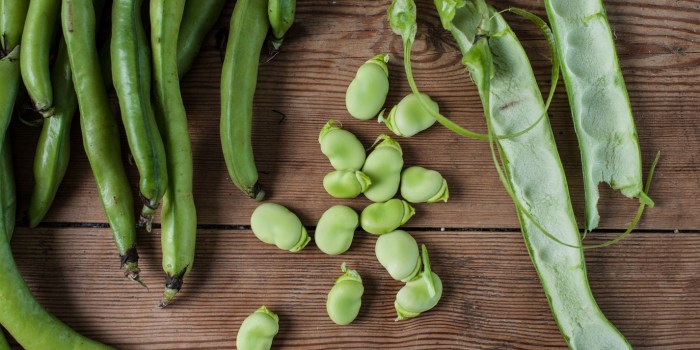 How to cook broad beans greek style