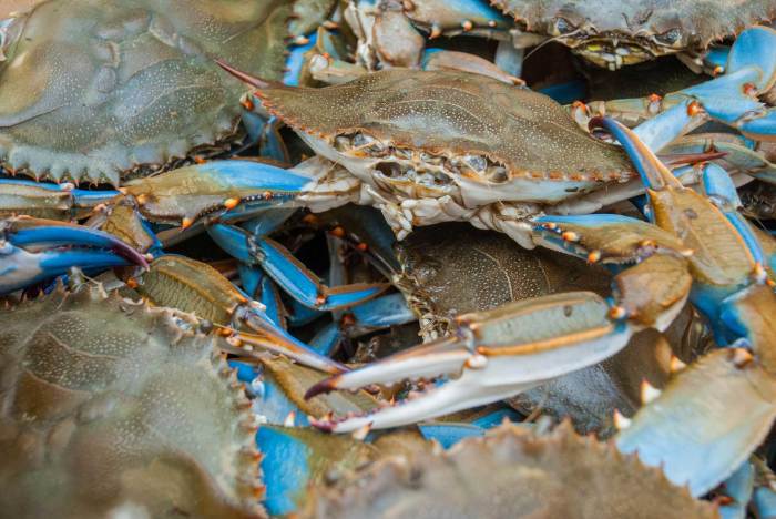 How to cook live crab filipino style